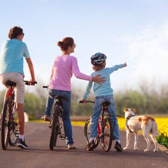 Η Ιστορία και η Προέλευση της Τουλίπας: Ένα Ταξίδι Ομορφιάς και Συμβολισμού