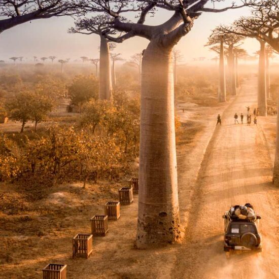 Μαδαγασκάρη: εκεί όπου η φύση γράφει τους δικούς της κανόνες