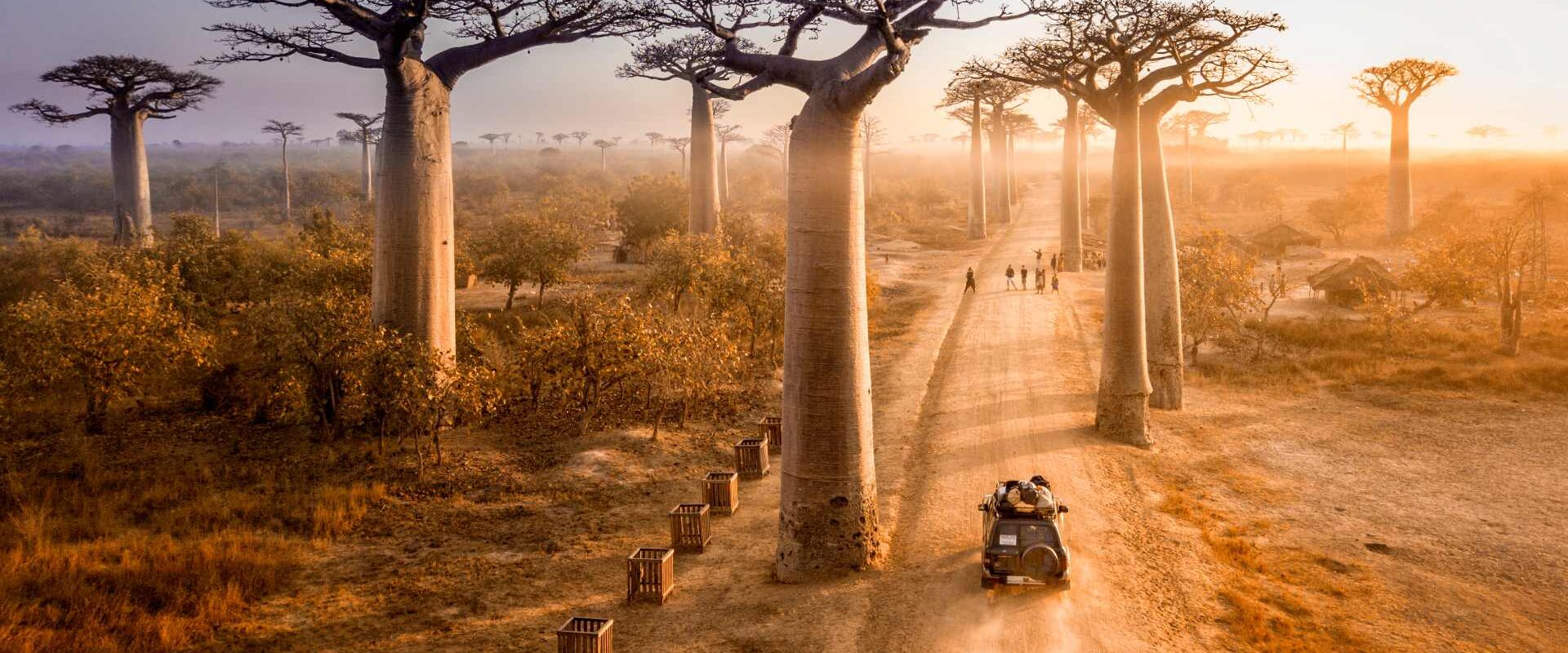 Μαδαγασκάρη: εκεί όπου η φύση γράφει τους δικούς της κανόνες