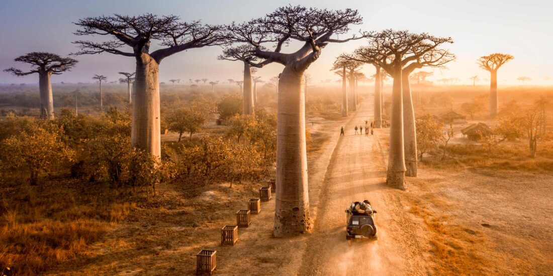 Μαδαγασκάρη - Στα μονοπάτια των φυλών Μάιος 2026