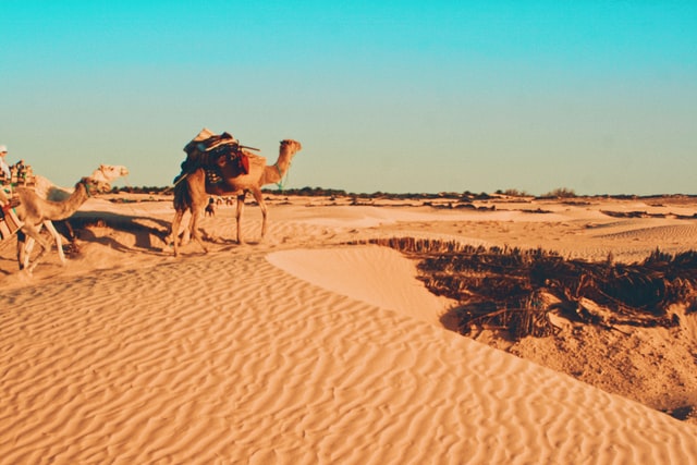 Τυνησία – Μεγάλος γύρος οάσεων & Βερβέρικα χωριά