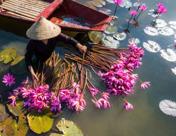 Πανόραμα Βιετνάμ Νοέμβριος-Πρωτοχρονιά