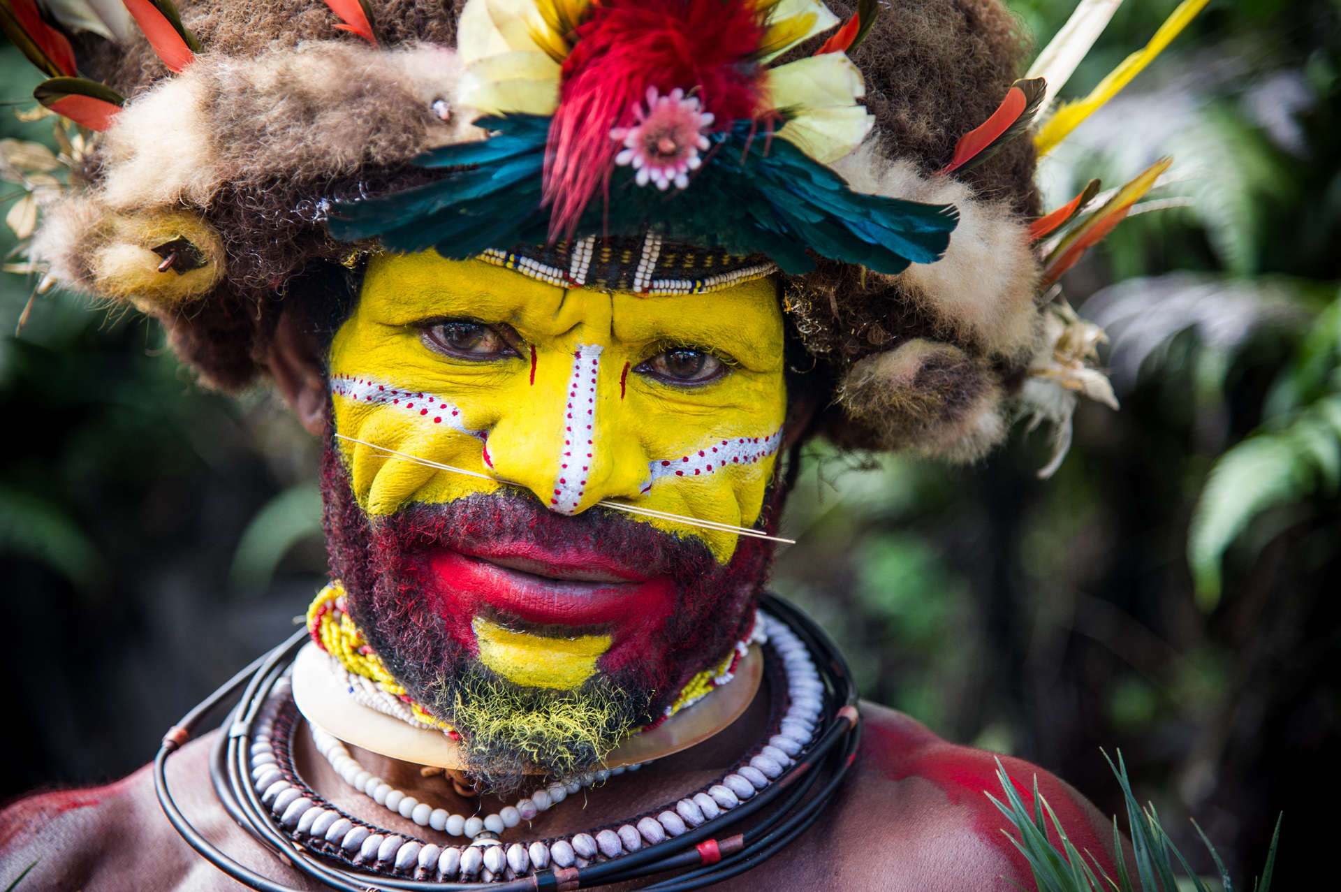 Παπούα - Νέα Γουινέα - Νησιά Φίτζι - Βανουάτου
