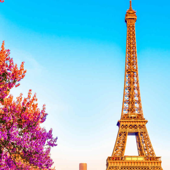 Άνοιξη στο Παρίσι: Το Φαινόμενο των Άνθεων Κερασιάς