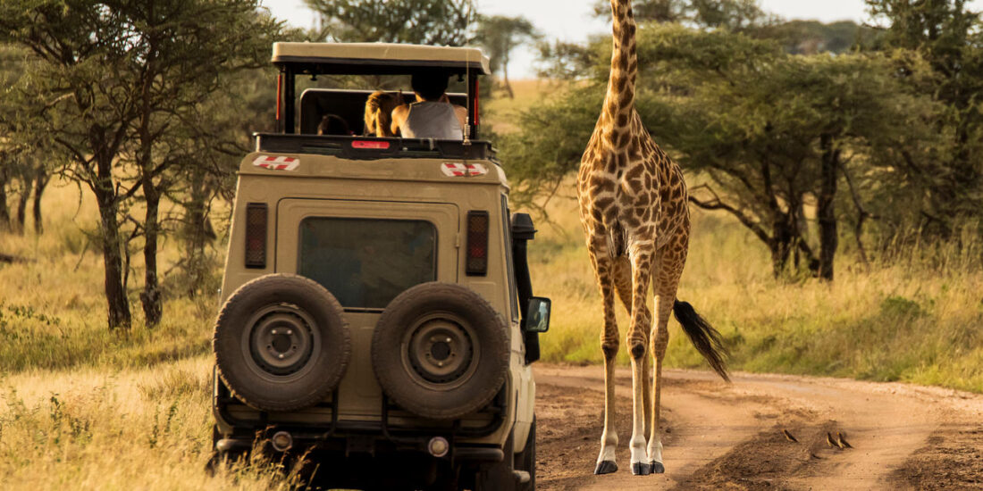 Τανζανία Ζανζιβάρη με 5ημερο Σαφάρι