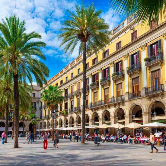 BCN 1