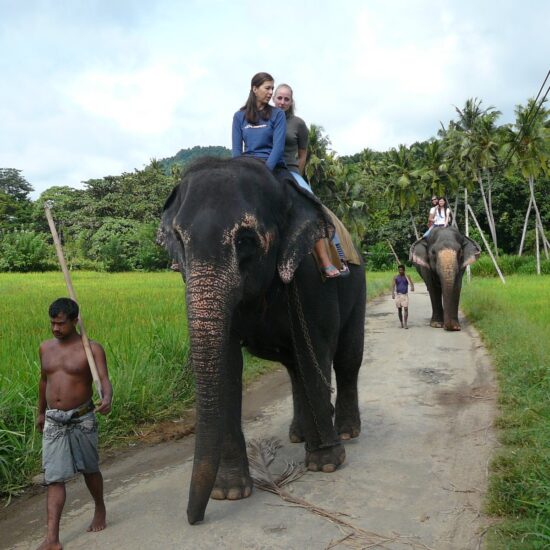 Σρι λάνκα Ιούλιος - Δεκέμβριος