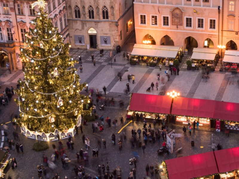 Βιέννη - Δάση Βιέννης Χριστούγεννα - Φώτα 2026