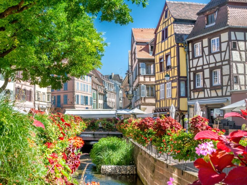 Αλσατία Μέλανας Δρυμός Ρηνανία Καλοκαίρι